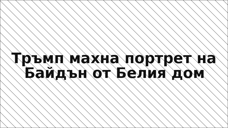 Тръмп махна портрет на Байдън от Белия дом