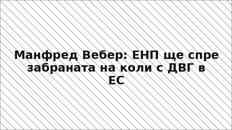 Манфред Вебер: ЕНП ще спре забраната на коли с ДВГ в ЕС