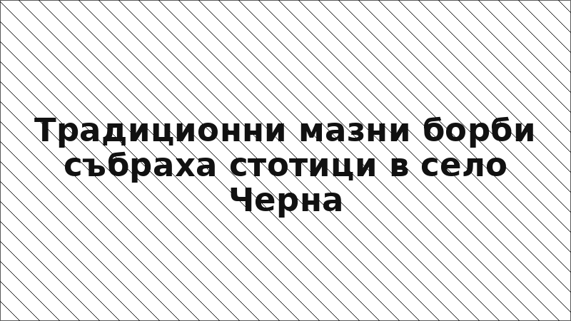 Традиционни мазни борби събраха стотици в село Черна