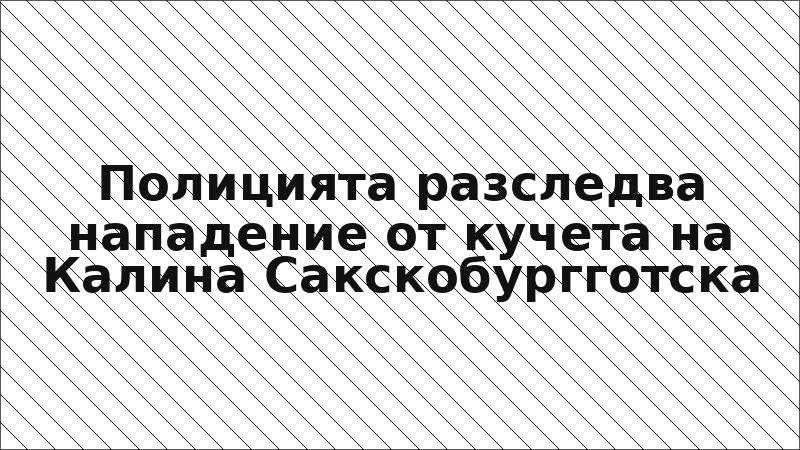 Полицията разследва нападение от кучета на Калина Сакскобургготска