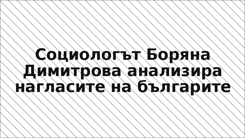 Социологът Боряна Димитрова анализира нагласите на българите