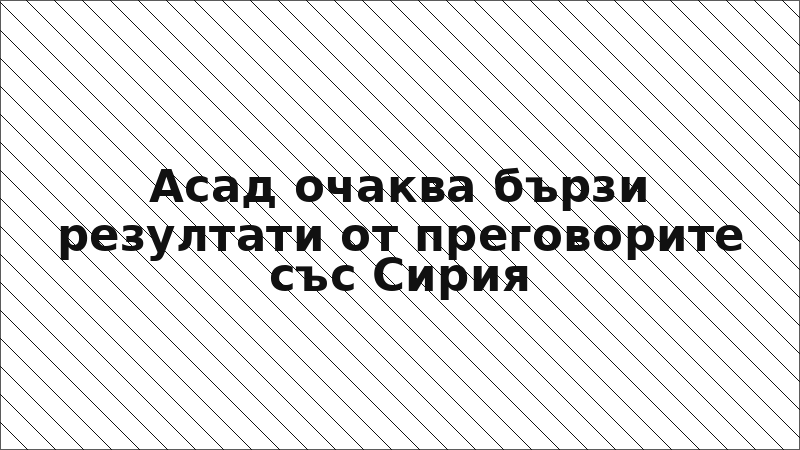 Асад очаква бързи резултати от преговорите със Сирия