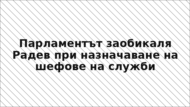 Парламентът заобикаля Радев при назначаване на шефове на служби