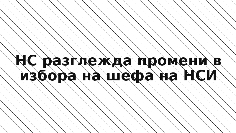НС разглежда промени в избора на шефа на НСИ