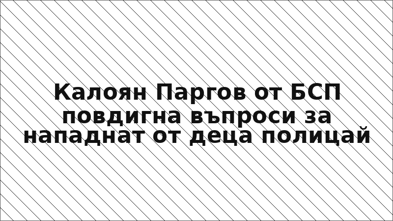 Калоян Паргов от БСП повдигна въпроси за нападнат от деца полицай