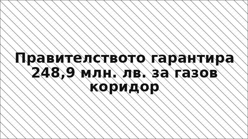 Правителството гарантира 248,9 млн. лв. за газов коридор