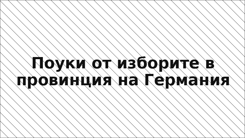 Поуки от изборите в провинция на Германия