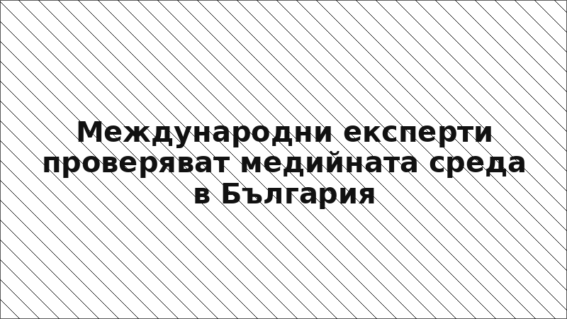 Международни експерти проверяват медийната среда в България