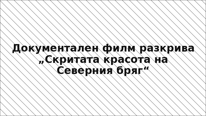 Документален филм разкрива „Скритата красота на Северния бряг“