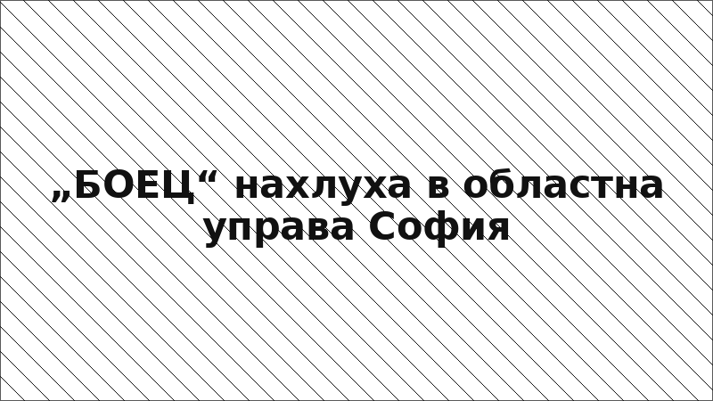 „БОЕЦ“ нахлуха в областна управа София