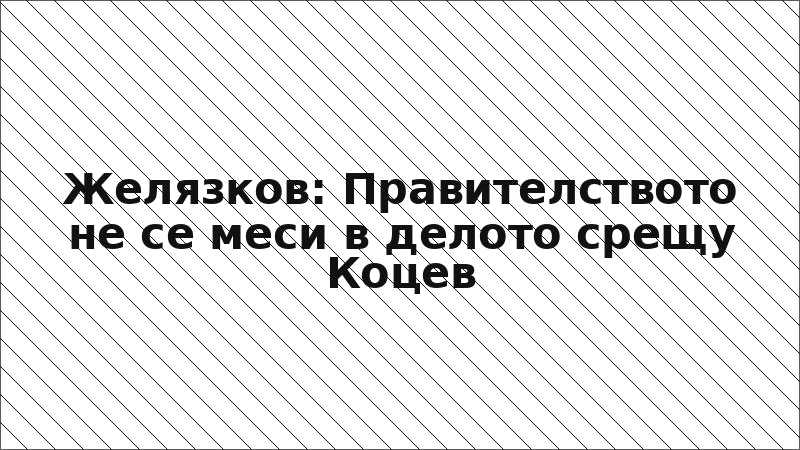 Желязков: Правителството не се меси в делото срещу Коцев
