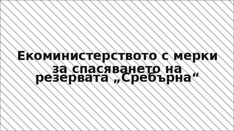 Екоминистерството с мерки за спасяването на резервата „Сребърна“