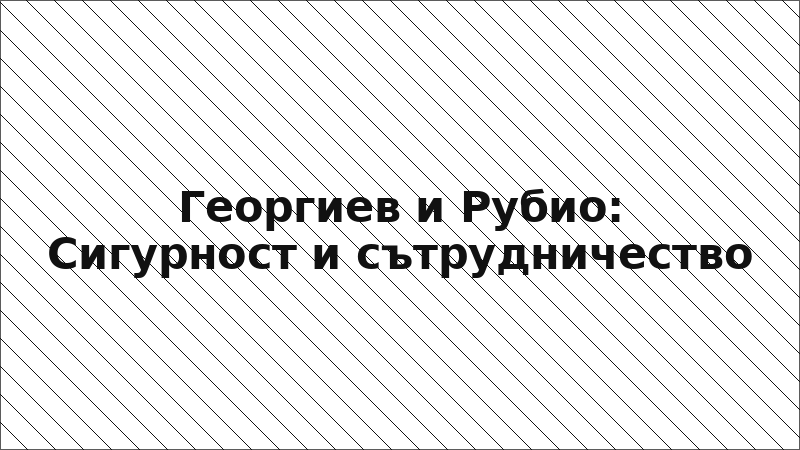Георгиев и Рубио: Сигурност и сътрудничество