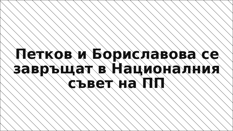 Петков и Бориславова се завръщат в Националния съвет на ПП