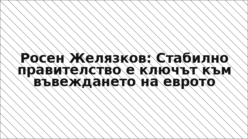 Росен Желязков: Стабилно правителство е ключът към въвеждането на еврото