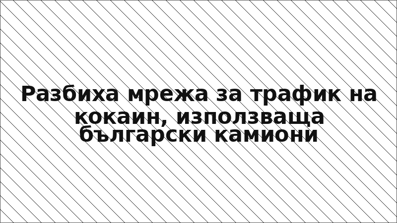 Разбиха мрежа за трафик на кокаин, използваща български камиони