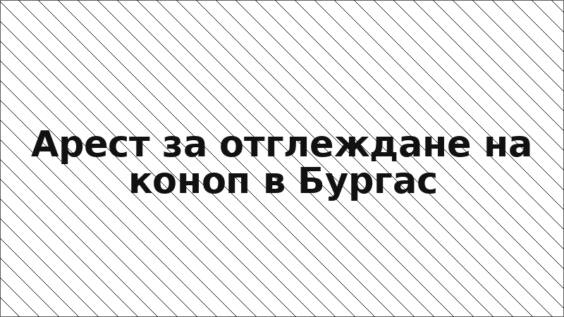 Арест за отглеждане на коноп в Бургас