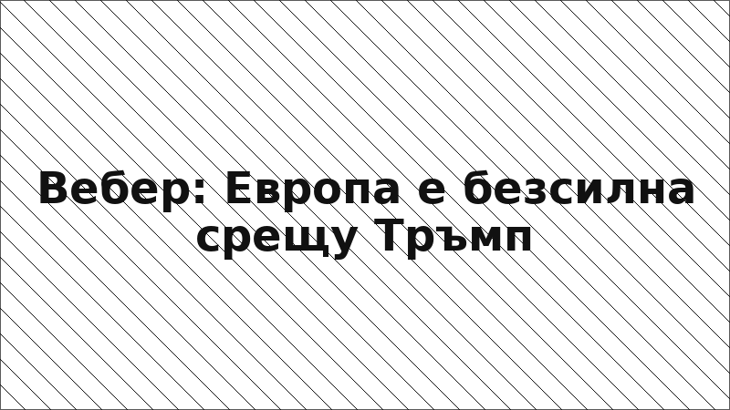 Вебер: Европа е безсилна срещу Тръмп