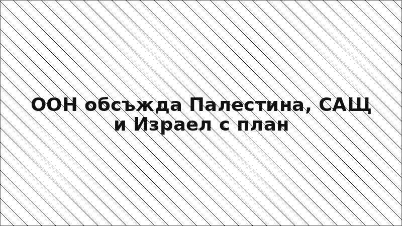 ООН обсъжда Палестина, САЩ и Израел с план
