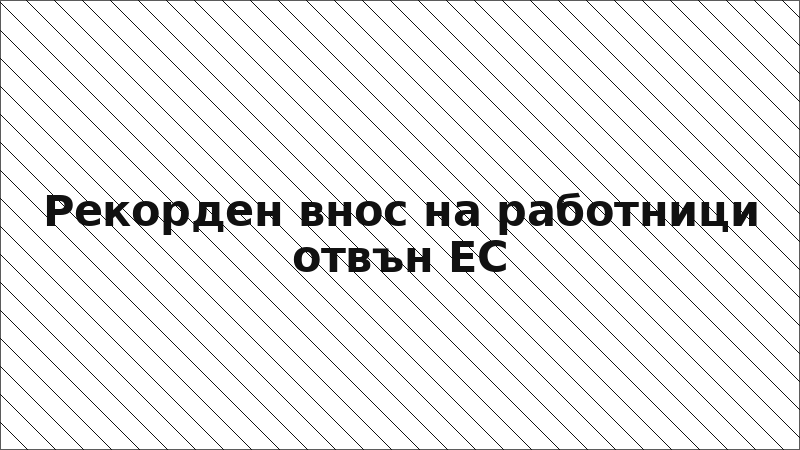 Рекорден внос на работници отвън ЕС