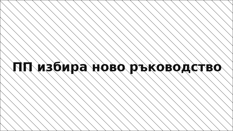 ПП избира ново ръководство