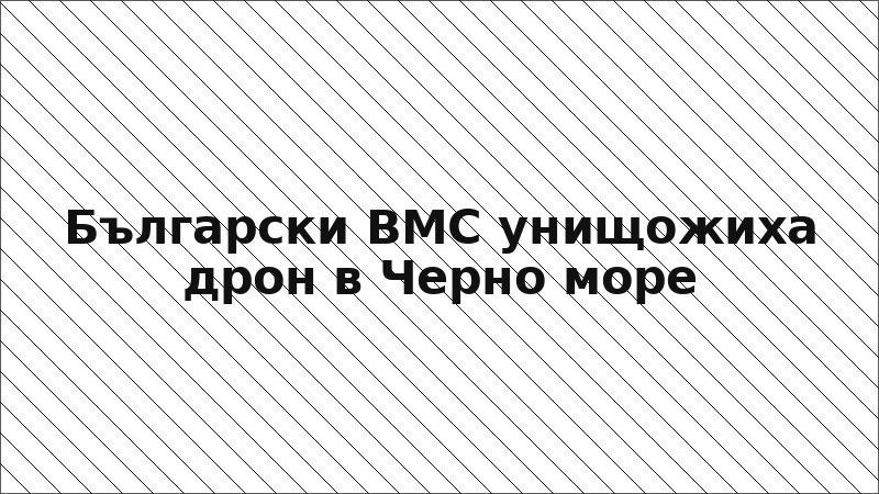 Български ВМС унищожиха дрон в Черно море