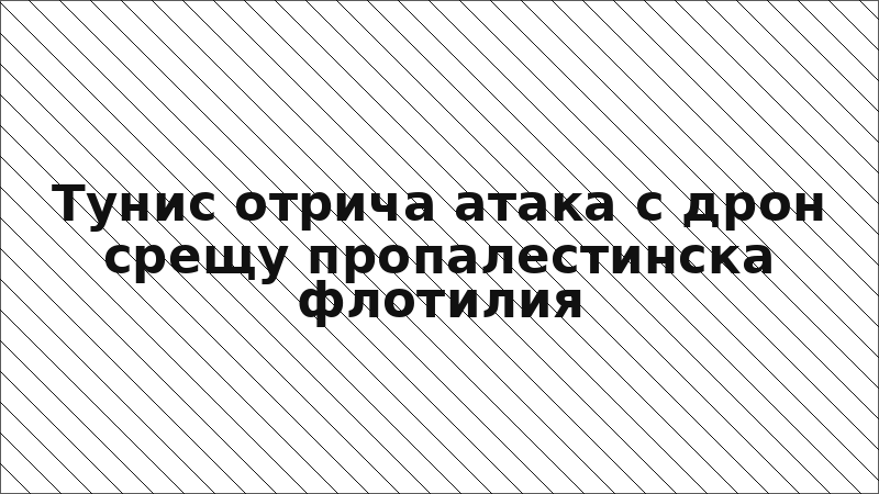 Тунис отрича атака с дрон срещу пропалестинска флотилия