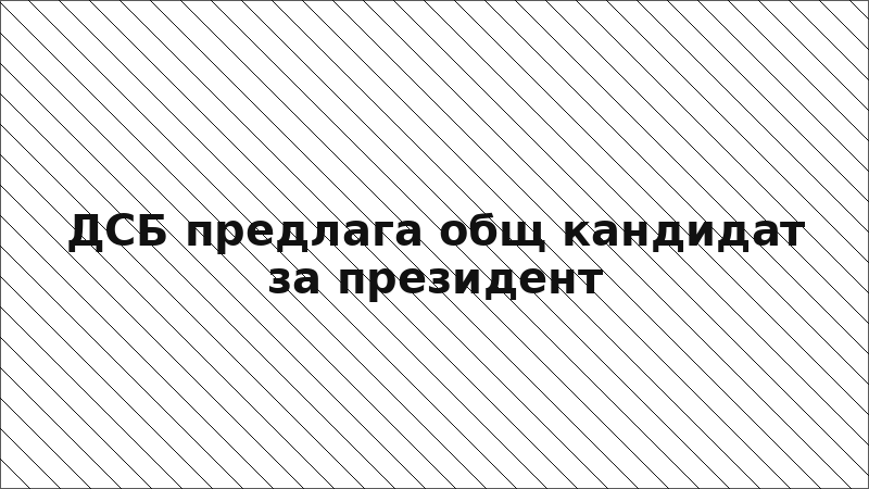 ДСБ предлага общ кандидат за президент