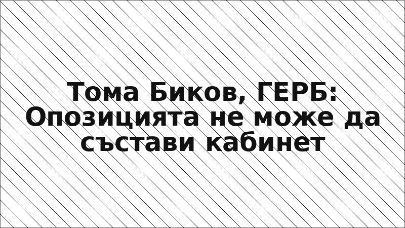 Тома Биков, ГЕРБ: Опозицията не може да състави кабинет