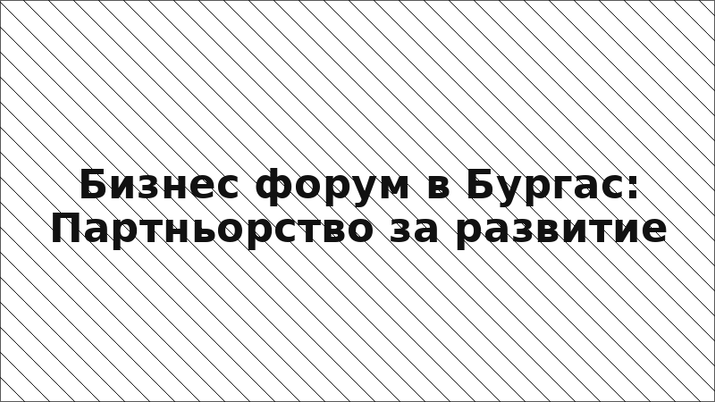 Бизнес форум в Бургас: Партньорство за развитие