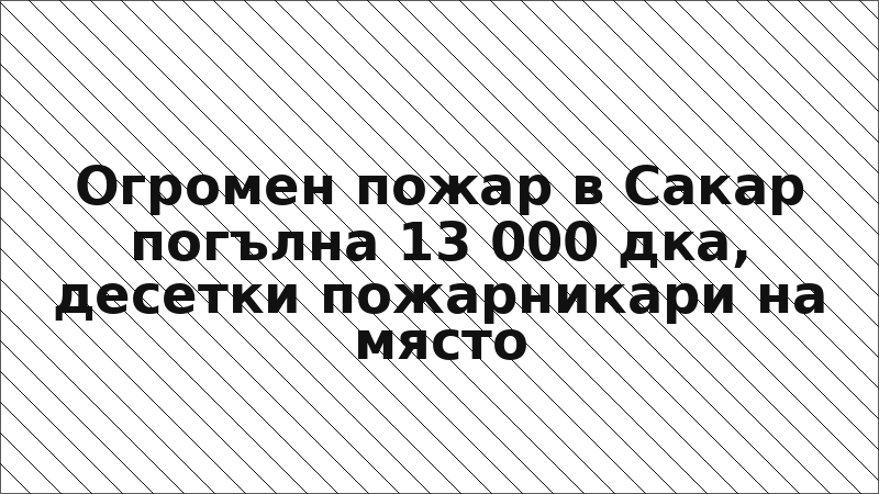 Огромен пожар в Сакар погълна 13 000 дка, десетки пожарникари на място