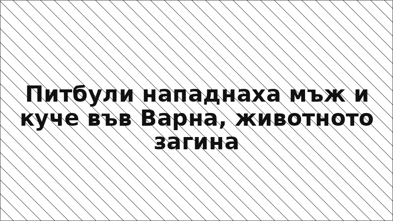 Питбули нападнаха мъж и куче във Варна, животното загина