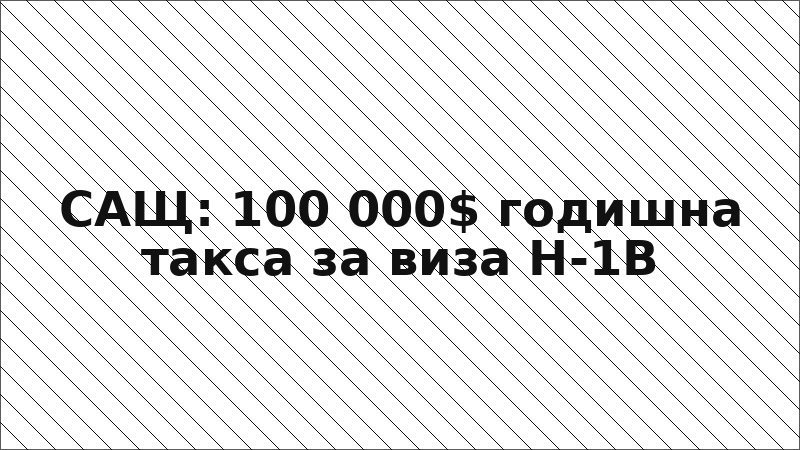 САЩ: 100 000$ годишна такса за виза H-1B