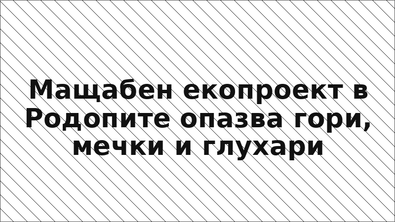 Мащабен екопроект в Родопите опазва гори, мечки и глухари