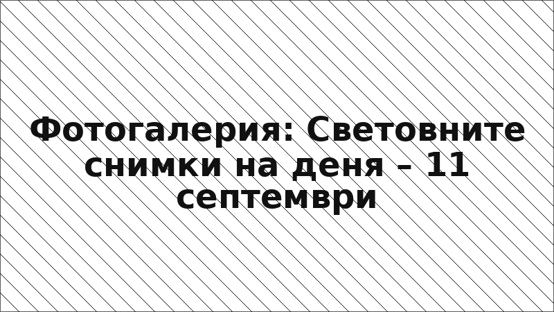 Фотогалерия: Световните снимки на деня – 11 септември