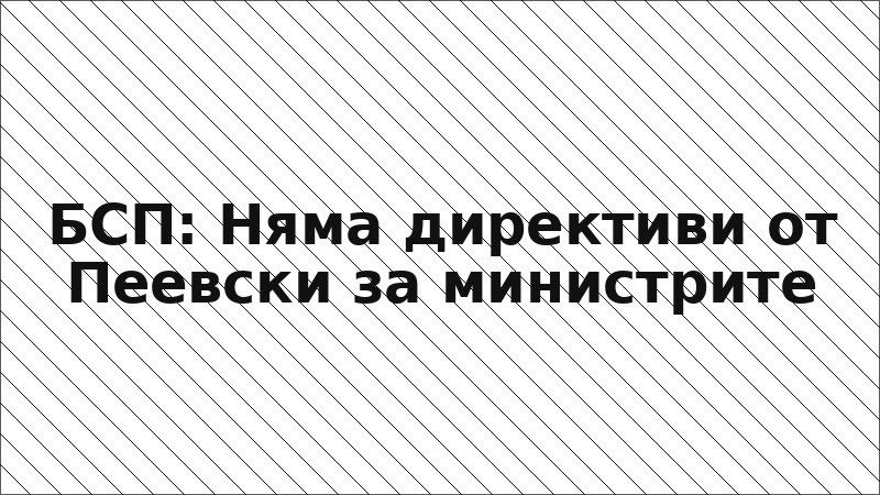 БСП: Няма директиви от Пеевски за министрите