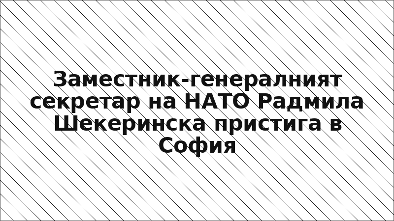 Заместник-генералният секретар на НАТО Радмила Шекеринска пристига в София