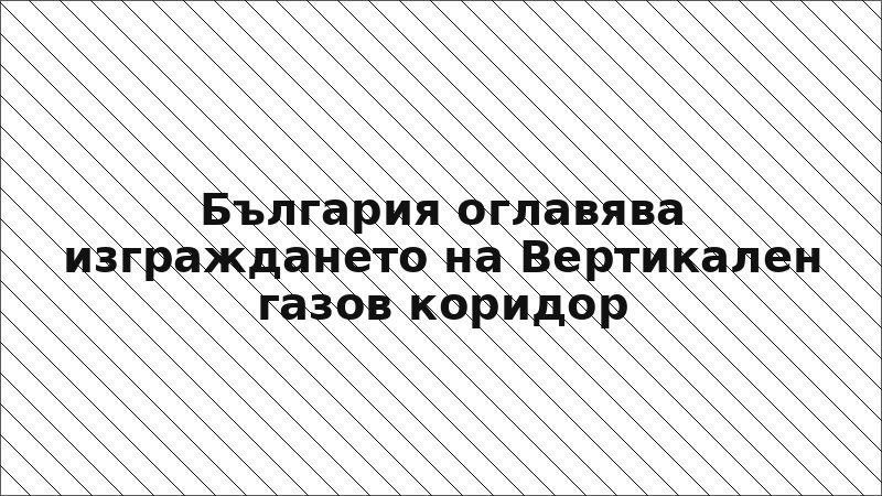 България оглавява изграждането на Вертикален газов коридор