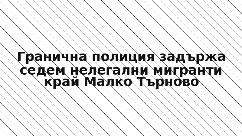 Гранична полиция задържа седем нелегални мигранти край Малко Търново