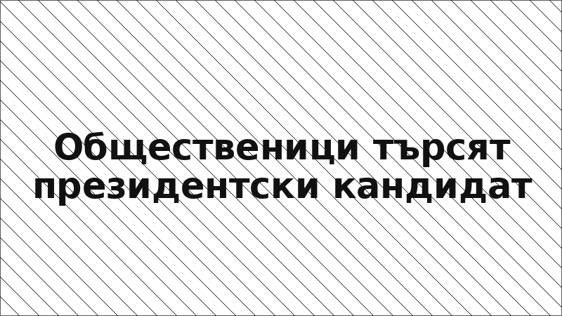 Общественици търсят президентски кандидат