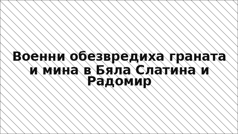 Военни обезвредиха граната и мина в Бяла Слатина и Радомир