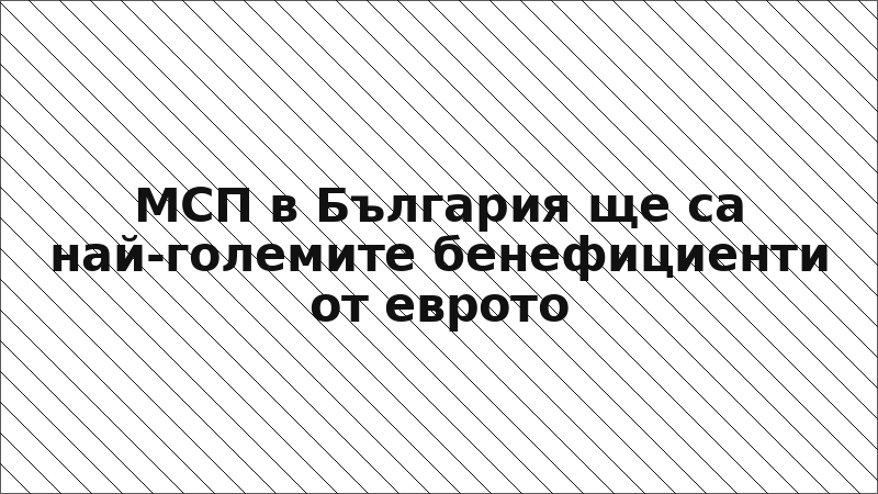МСП в България ще са най-големите бенефициенти от еврото