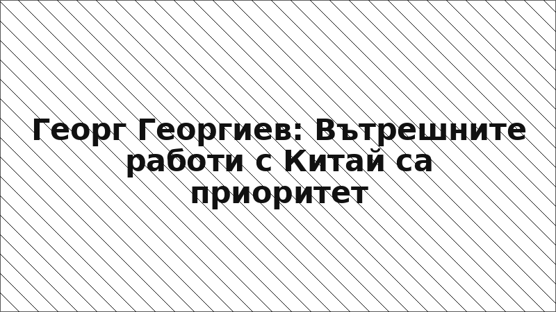 Георг Георгиев: Вътрешните работи с Китай са приоритет