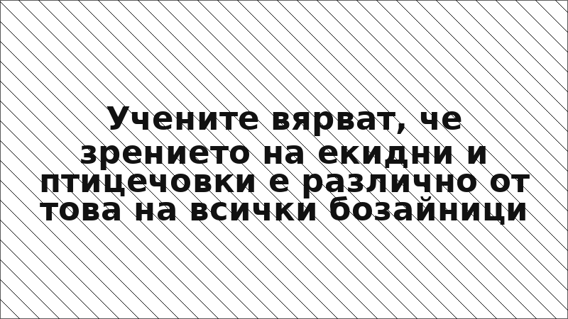 Учените вярват, че зрението на екидни и птицечовки е различно от това на всички бозайници