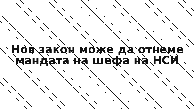 Нов закон може да отнеме мандата на шефа на НСИ