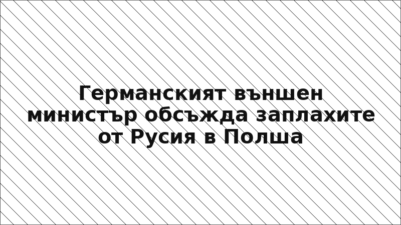 Германският външен министър обсъжда заплахите от Русия в Полша
