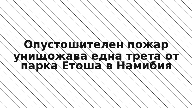 Опустошителен пожар унищожава една трета от парка Етоша в Намибия