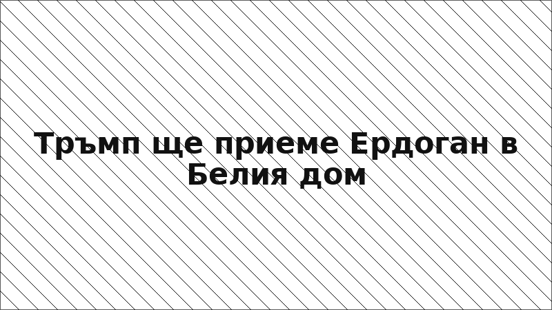 Тръмп ще приеме Ердоган в Белия дом