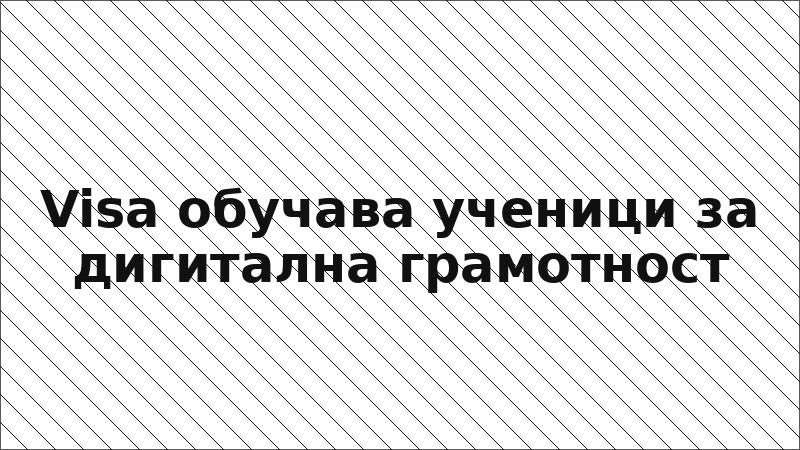 Visa обучава ученици за дигитална грамотност