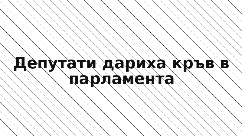 Депутати дариха кръв в парламента